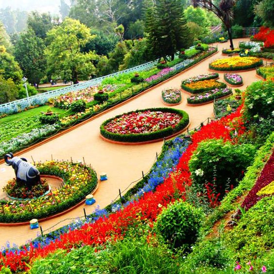 Day: 2 [Full day Ooty Tour ]